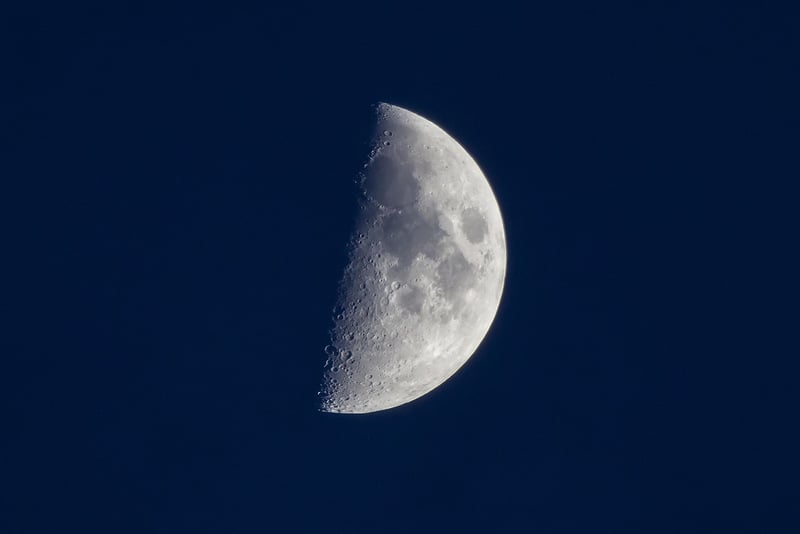 Lunar Buffet